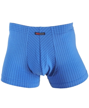 Isa bodywear Panty Short Andy in blau Stripes