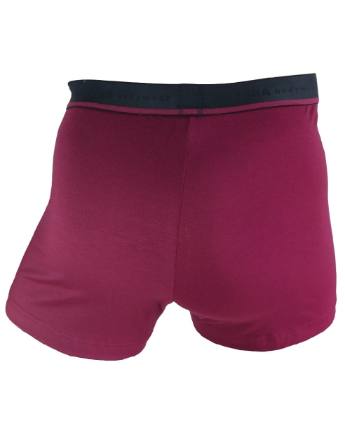 Isa bodywear Doppelpack Panty Short Alex in granatrot