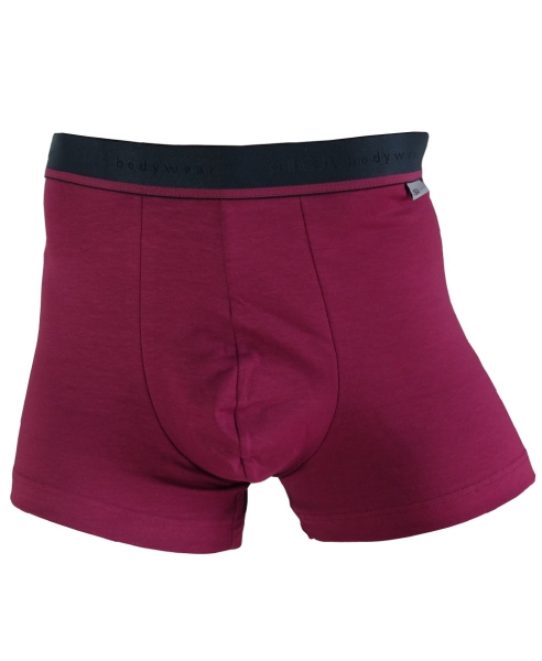 Isa bodywear Doppelpack Panty Short Alex in granatrot