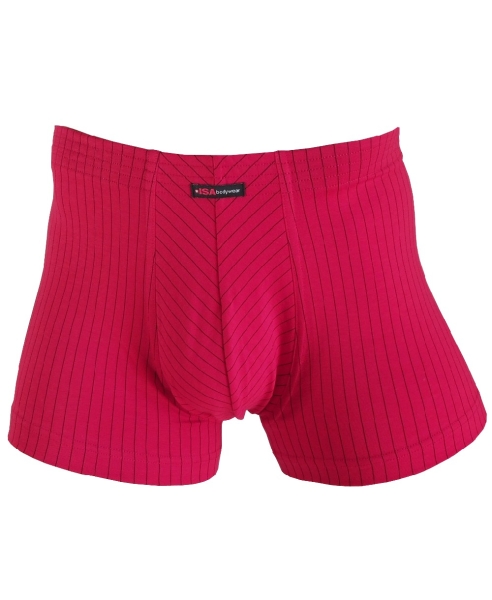 Isa bodywear Panty Andy Short in rot Stripes